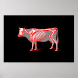 Cow_skeleton posters