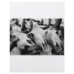 Cow Skulls flyer