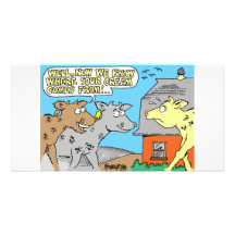COW / SOUR CREAM HUMOR CARTOON CUSTOMISED PHOTO CARD