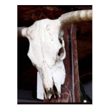 Cowboy art western cattle skull post cards