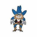 Cowboy embroidered shirts
