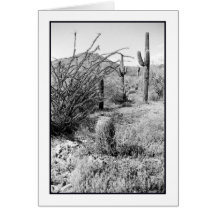 Cowboy Garden Greeting Card