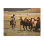 Cowboy Herding at the Ranch postcards
