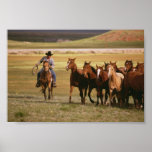 Cowboy Herding at the Ranch posters