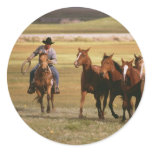 Cowboy Herding at the Ranch stickers
