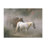 Cowboy Herding postcards