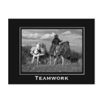Cowboy Horse and Mule Motivational Postcards
