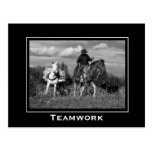 Cowboy Horse and Mule Motivational Postcards