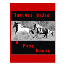Cowboy Humour Postcard #1