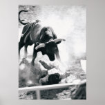 Cowboy on ground after falling off bull print
