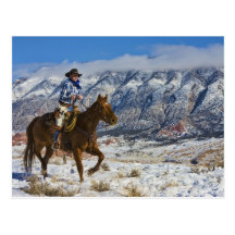 Cowboy on Horse wearing Leather Chaps 2 Postcard