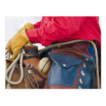 Cowboy on Horse wearing Leather Chaps Postcards