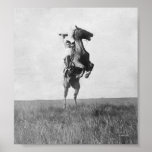 Cowboy Rides Bronco Poster