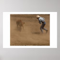 Cowboy ties a calf posters