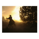 Cowboy with Lasso in Sunset Post Card