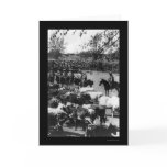 Cowboys Hearding Cattle on a Ranch in Chile 1897 cards