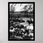 Cowboys Hearding Cattle on a Ranch in Chile 1897 posters