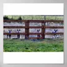 cowdogs at the fence line posters