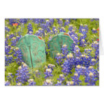 Cowgirl Boots and Bluebonnets