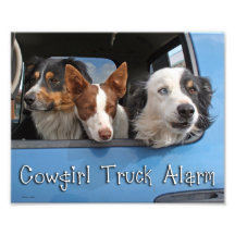 Cowgirl Truck Alarm 8x10 Photo Print