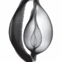 cowrie exray t-shirts