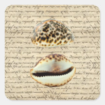 Cowrie shells square stickers