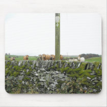 cows and sheep looking at you mousepads