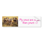 Cows bumper stickers