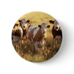 Cows Buttons