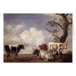 Cows by Potter cards
