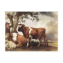 Cows by Potter Post Cards