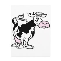 Cows, cows, cows postcard