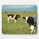 cows got cheese mousepads