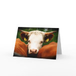 Cows Head cards