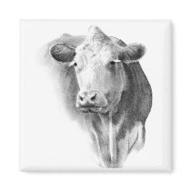 COW'S HEAD IN PENCIL MAGNETS