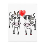 Cows in Love postcards