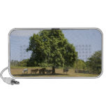 Cows in the Shade (3) Notebook Speakers