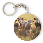 Cows Key Chains