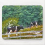 Cows - Moo Mousepads