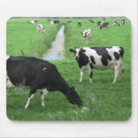 Cows Mousepad