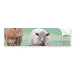 Cows on the Farm bumper stickers