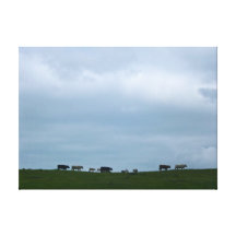 Cows on the move canvas print