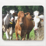 Cows Themed Gifts: Forever Friends Mousepad