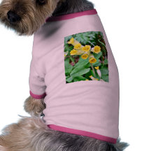Cowslip Flower Dog T Shirt