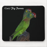 Cox's Fig Parrots mousepad