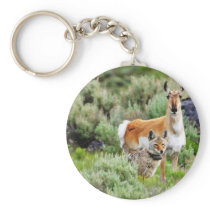 Coyote And Antelope In Yellowstone Park Keychain