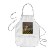 coyote apron