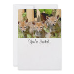 Coyote Babies Photo Custom Invitation