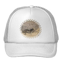 Coyote Design Baseball Hat