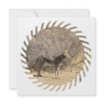 Coyote Design Invitations